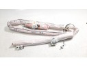 AIRBAG CORTINA DELANTERO IZQUIERDO 34216414D 