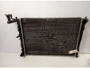 RADIADOR AGUA 253102H010 253102H010 53845