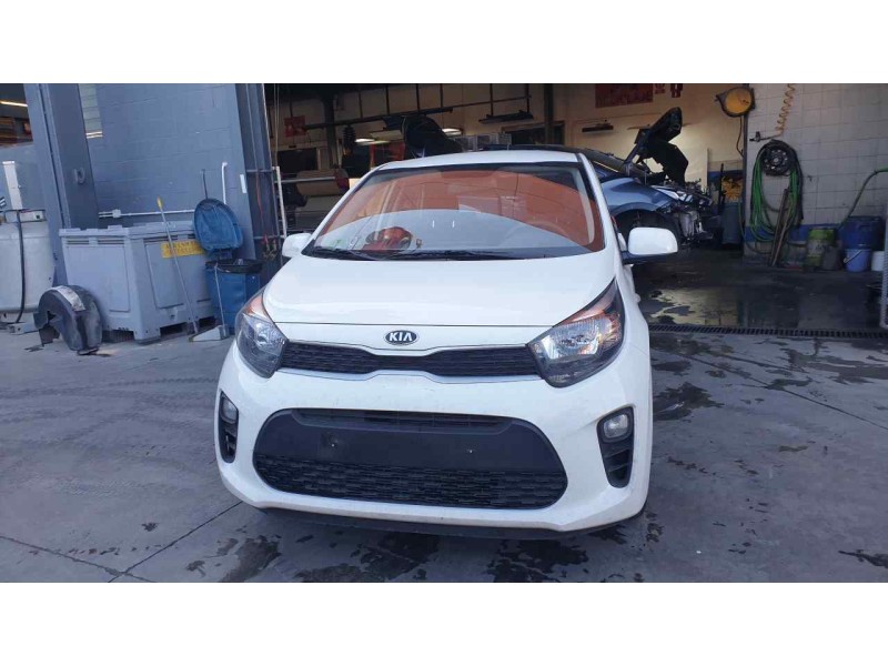 kia picanto (ja) del año 2019