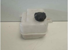 DEPOSITO EXPANSION 254302S000 