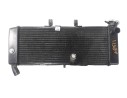 RADIADOR AGUA 19010MKHD01 19010MKHD01 