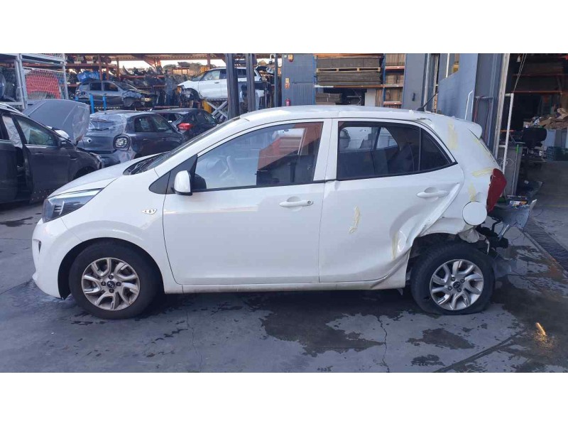 kia picanto (ja) del año 2019