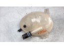 DEPOSITO EXPANSION GN118A080AA 487095