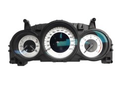 CUADRO INSTRUMENTOS A2049005513 A2C53435305 