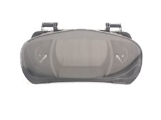 CUADRO INSTRUMENTOS 248105509R 