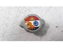 RADIADOR AGUA 490850006 