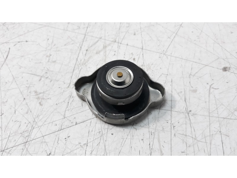 Recambio de radiador agua para kawasaki z 900 z 900 referencia OEM IAM 490850006  