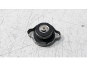 RADIADOR AGUA 490850006 490850006 