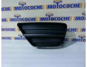 REJILLA PARAGOLPES IZQUIERDA FD4222124 FD4222124 FD4222124 107103019