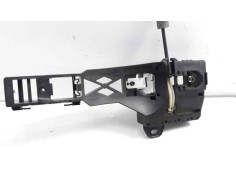 MANETA EXTERIOR DELANTERA IZQUIERDA 806079016R 806079016R 