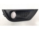 REJILLA PARAGOLPES DERECHA 4010170341AB 4010170341AB 