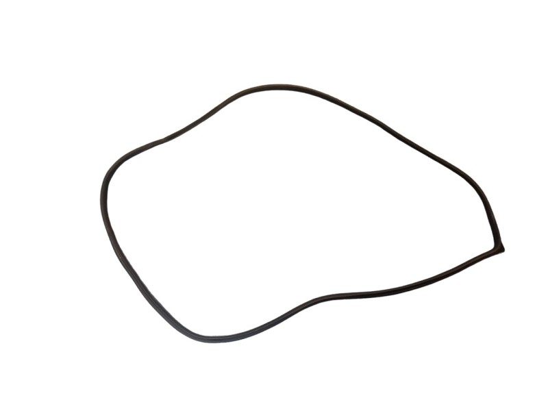 Recambio de gomas contorno puerta para kia niro referencia OEM IAM 812049  