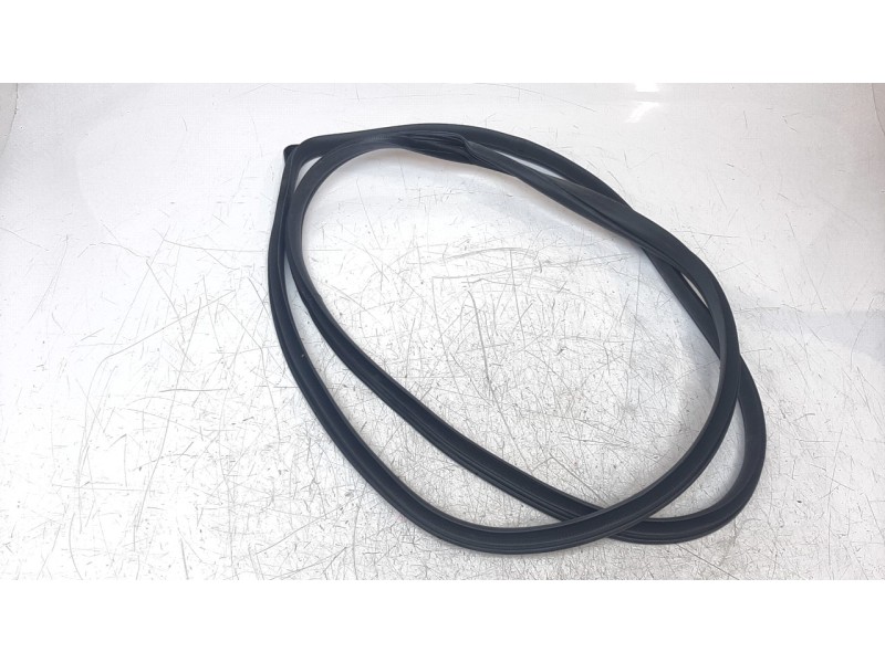 Recambio de gomas contorno puerta para kia niro referencia OEM IAM 812049  