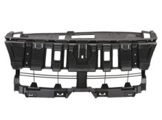 Recambio de moldura para renault scenic iii referencia OEM IAM 620363078R 107199804 RN0382102