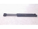 AMORTIGUADORES MALETERO / PORTON FR3B63406A10BC 
