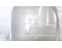 DEPOSITO EXPANSION 217101878R 217101878R 