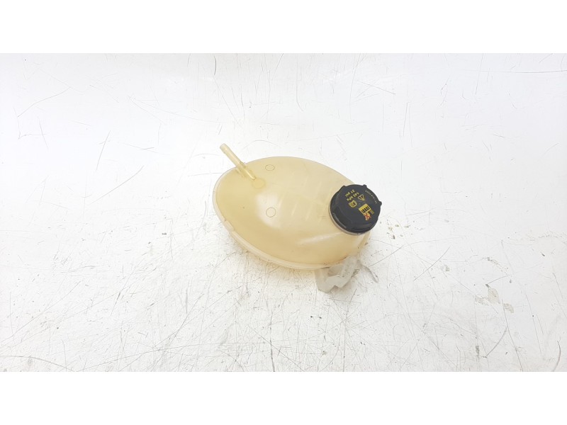 Recambio de deposito expansion para ford ka+ 1.2 ti-vct cat (3 cil.) referencia OEM IAM 2066919  487095