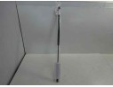 AMORTIGUADORES MALETERO / PORTON 70CM200N 70CM200N 18400050103