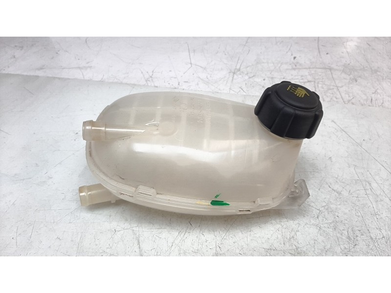 Recambio de deposito expansion para dacia jogger comfort referencia OEM IAM 217102572R  