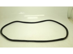 GOMAS CONTORNO PUERTA 