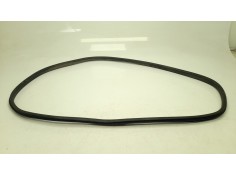 Recambio de gomas contorno puerta para ford ecosport (cr6) titanium referencia OEM IAM    2