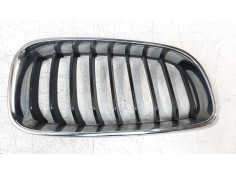 REJILLA DELANTERA 7294804 