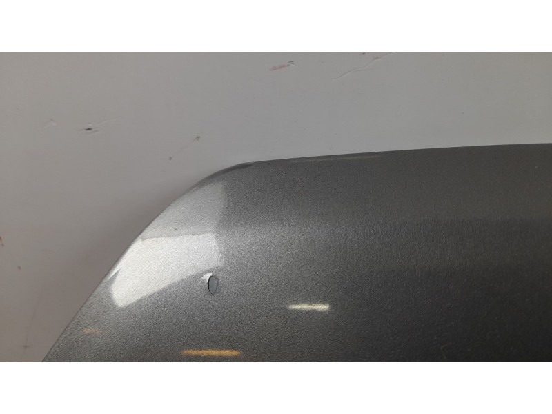 Recambio de capo para renault laguna iii dynamique referencia OEM IAM 651000021R  