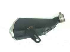 SILENCIADOR TRASERO 490690823 