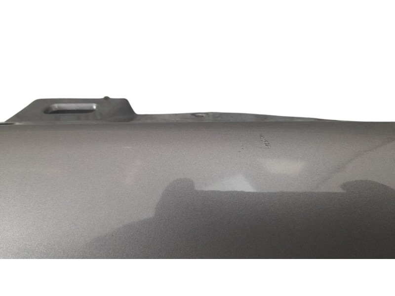 Recambio de aleta delantera derecha para renault scenic iii referencia OEM IAM 631004270R 109199111 RN0363003