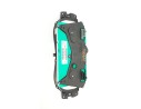 CUADRO INSTRUMENTOS 248104190R 248104190R 