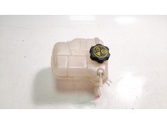 DEPOSITO EXPANSION 13393368 