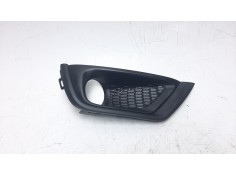 REJILLA PARAGOLPES DERECHA 4010170341AB 4010170341AB 