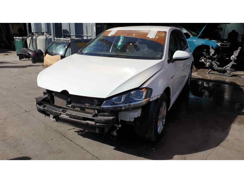 volkswagen golf vii lim. del año 2019