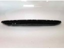 REJILLA PARAGOLPES CENTRAL 1320245 1320245 OP0362120 107166204