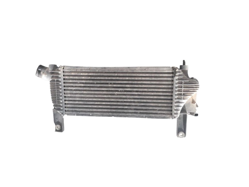 Recambio de intercooler para nissan pathfinder (r51) 2.5 dci diesel cat referencia OEM IAM 14461EB360 30527 