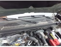 MOTOR LIMPIA DELANTERO 288007139R 288007139R 3397022