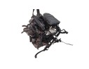 MOTOR COMPLETO DKR DKR 