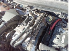 SERVOFRENO 1774307100 