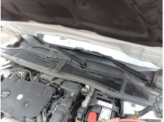 TORPEDO 9830565680 9831551280 