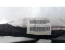 AIRBAG CORTINA DELANTERO DERECHO 9800483180 