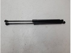 AMORTIGUADORES MALETERO / PORTON 904529943R 