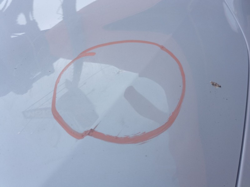 Recambio de morro completo para byd atto 3 ev referencia OEM IAM   