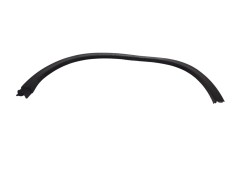 ALETIN TRASERO IZQUIERDO 7722054P005PK 