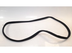 GOMAS CONTORNO PUERTA A2046970151 A2046970151 
