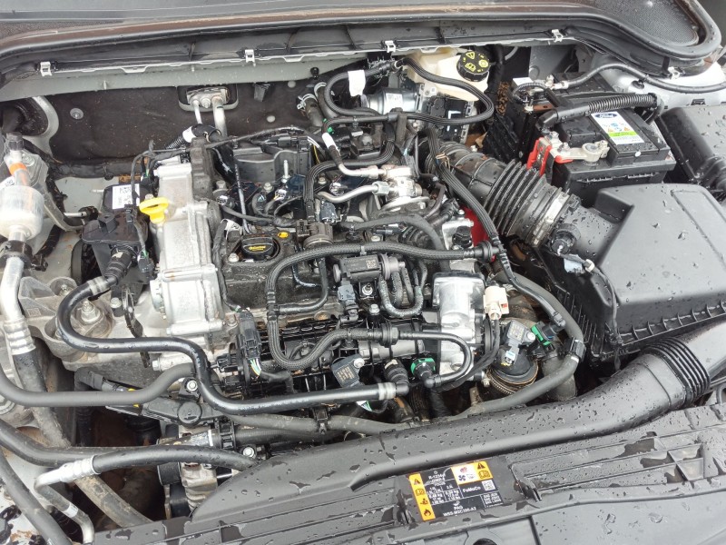 Recambio de alternador para ford focus sportbreak focus sportbreak referencia OEM IAM 2630362  