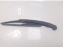 BRAZO LIMPIA TRASERO 80011247 
