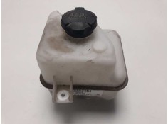 DEPOSITO EXPANSION 254302S000 