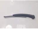 BRAZO LIMPIA TRASERO 287816193R 287816193R 