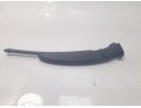 BRAZO LIMPIA TRASERO 287816193R 287816193R 