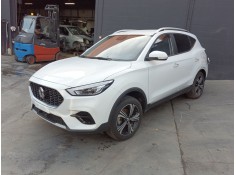 mg zs del año 2024 2